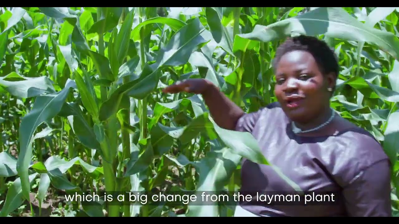 The Impactful Use Of Agrochemicals